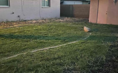 Photo of Chelsea K.'s yard after getting landscaping in Cave Creek, AZ