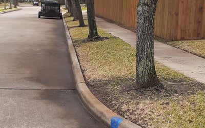 Photo of Christopher S.'s yard after getting landscaping in Industry, TX