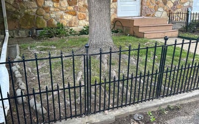 Photo of Fallon R.'s yard after getting landscaping in Newark, DE