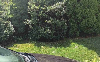 Photo of Barry B.'s yard after getting landscaping in Weare, NH