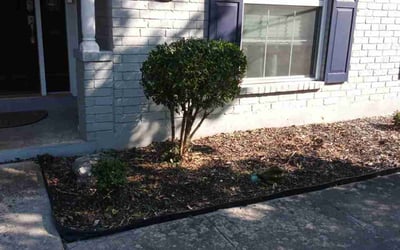 Photo of Lauren M.'s yard after getting landscaping in Universal City, TX