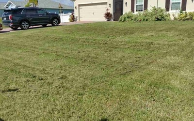 Photo of Nick M.'s yard after getting landscaping in Bokeelia, FL