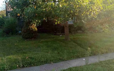 Photo of Donna R.'s yard after getting landscaping in Cloverdale, IN
