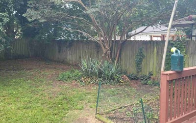 Photo of Nancy P.'s yard after getting landscaping in Richmond, VA