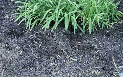 Photo of Alicia S.'s yard after getting landscaping in Amanda, OH