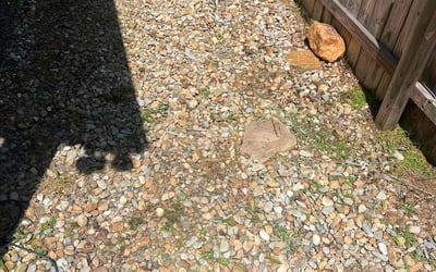 Photo of Kevin G.'s yard after getting landscaping in Raleigh, NC