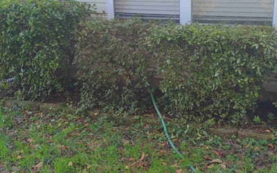 Photo of David P.'s yard after getting landscaping in Mount Mourne, NC