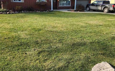 Photo of Jonathan J.'s yard after getting landscaping in Harrison Township, MI