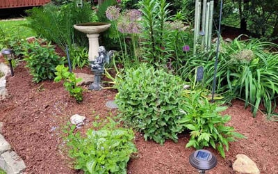 Photo of Karen P.'s yard after getting landscaping in Cranberry Twp, PA
