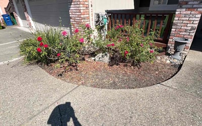 Photo of Amy N.'s yard after getting landscaping in Union City, CA