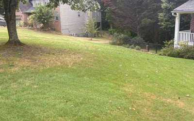 Photo of Chris C.'s yard after getting landscaping in Grayson, GA