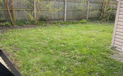 Photo of Robert F.'s yard after getting landscaping in Swanton, OH