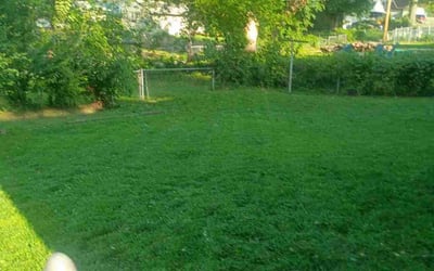 Photo of Thomas W.'s yard after getting landscaping in Leavenworth, KS
