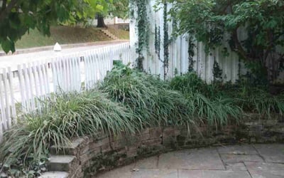 Photo of Deborah H.'s yard after getting landscaping in Davidsonville, MD
