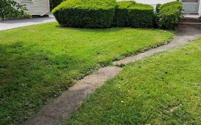 Photo of Yvonne B.'s yard after getting landscaping in Rochester, NY