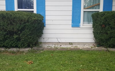 Photo of Richard M.'s yard after getting landscaping in Morgantown, IN