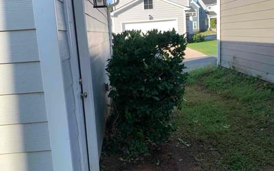 Photo of Jordan L.'s yard after getting landscaping in Wake Forest, NC