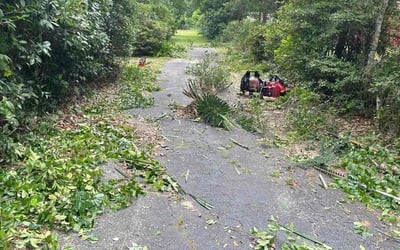 Photo of Julie S.'s yard after getting landscaping in Molino, FL