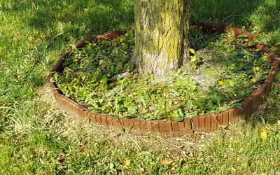 Photo of Laura T.'s yard after getting landscaping in Saint Louisville, OH