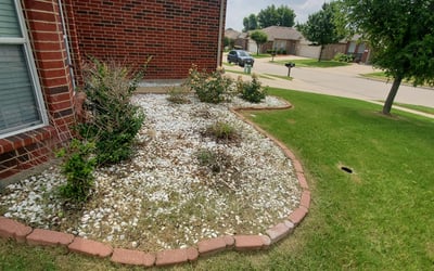 Photo of Jason W.'s yard after getting landscaping in Dennis, TX