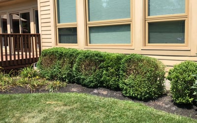 Photo of Lynn J.'s yard after getting landscaping in Oxford, OH