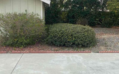 Photo of Sarah L.'s yard after getting landscaping in Yucca Valley, CA