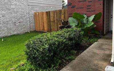 Photo of Kaitlin W.'s yard after getting landscaping in Missouri City, TX