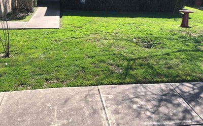 Photo of Brittany K.'s yard after getting landscaping in Pandora, TX