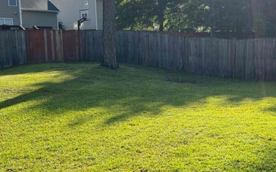 Photo of Brian P.'s yard after getting landscaping in Columbia, SC