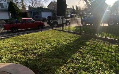 Photo of Nicholas H.'s yard after getting landscaping in Placerville, CA