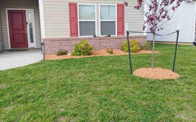 Photo of Victoria A.'s yard after getting tree care in Greenwood, IN