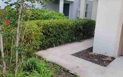 Photo of Daniela T.'s yard after getting landscaping in Davenport, FL