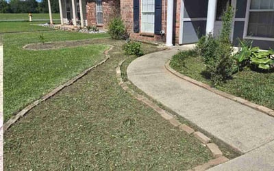 Photo of Harold R.'s yard after getting landscaping in Abbeville, LA