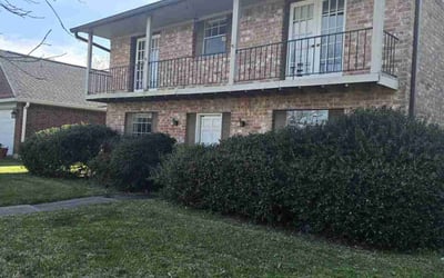 Photo of Zachary S.'s yard after getting tree care in La Porte, TX