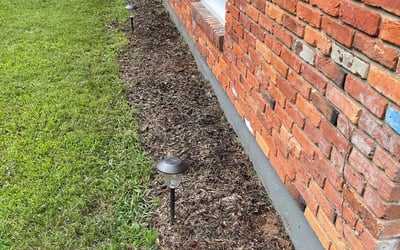 Photo of Shari J.'s yard after getting tree care in Falls Church, VA
