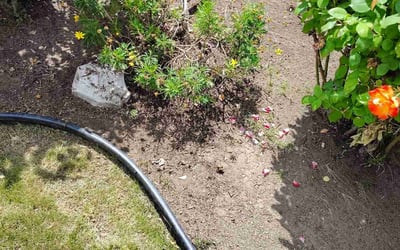 Photo of Jeff G.'s yard after getting landscaping in Fresno, CA