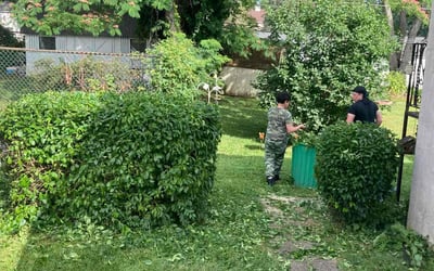 Photo of Laura G.'s yard after getting landscaping in Chalfont, PA