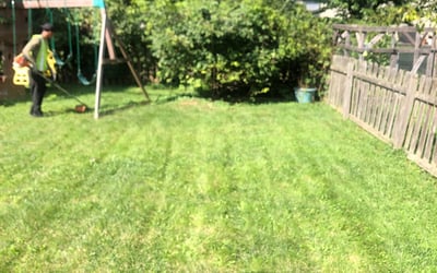 Photo of Michael B.'s yard after getting landscaping in Sedalia, OH