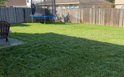Photo of Nicole B.'s yard after getting landscaping in Castroville, TX