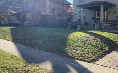 Photo of David S.'s yard after getting landscaping in Butler, MO