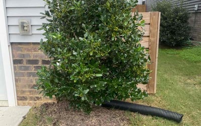 Photo of Pamela H.'s yard after getting landscaping in Rescue, VA