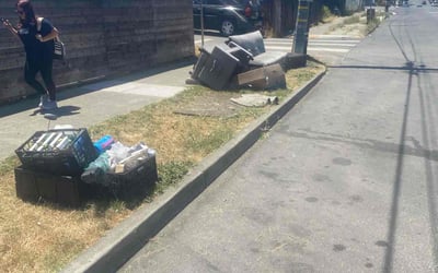 Photo of Alvin C.'s yard after getting landscaping in Oakland, CA