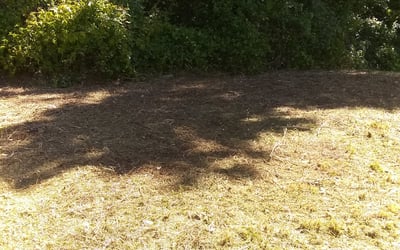 Photo of Theresa T.'s yard after getting landscaping in Cramerton, NC