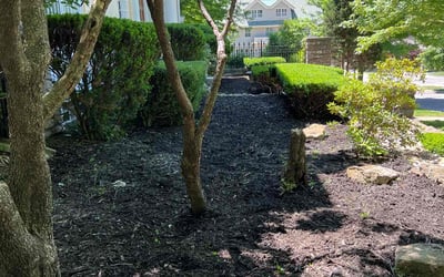 Photo of Kenneth L.'s yard after getting landscaping in Buckner, MO