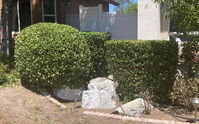 Photo of Diane C.'s yard after getting landscaping in Murrieta, CA