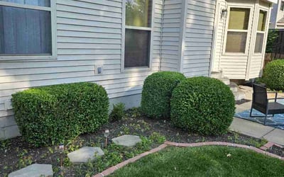 Photo of Tonya B.'s yard after getting landscaping in Blacklick, OH