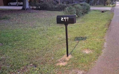 Photo of Alan T.'s yard after getting landscaping in Pearl, MS