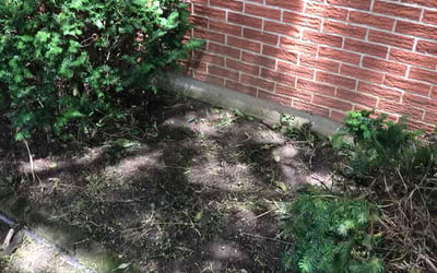 Photo of Matt S.'s yard after getting landscaping in Germantown, OH