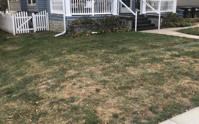 Photo of Justin B.'s yard after getting landscaping in Elkhorn, NE