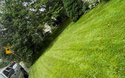 Photo of Javier V.'s yard after getting tree care in Warminster, PA